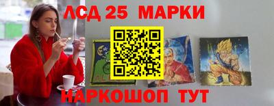 гидропоника Дубна