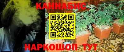 гидропоника Дубна
